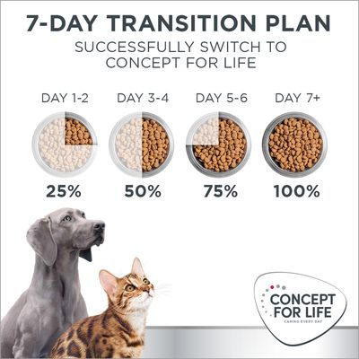 Piano di transizione 7 giorni Concept for Life: giorno 1–2 25%, giorno 3–4 50%, giorno 5–6 75%, dal giorno 7 100%. Immagine di cane, gatto e logo Concept for Life.