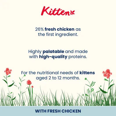 Almo Nature Functional Cat Kitten med kyckling & ris - Ekonomipack: 4 x 2 kg