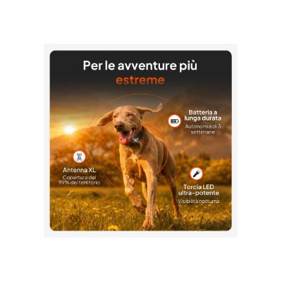 Cane con punti salienti del prodotto: antenna XL copre il 99% dell'area, batteria resistente fino a 3 settimane, torcia LED ultra-potente per la visione notturna.