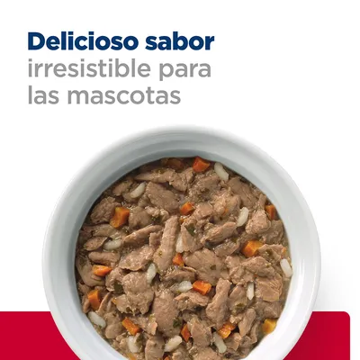 Texto: Delicioso sabor irresistible para las mascotas. Plato blanco con comida húmeda para mascotas, trozos de carne, zanahoria y arroz visibles.
