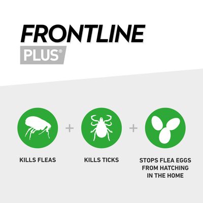 Frontline Plus kills fleas, kills ticks, and stops flea eggs from hatching in the home. Three green icons show a flea, a tick, and flea eggs with corresponding text.