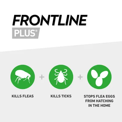 Frontline Plus kills fleas, kills ticks, and stops flea eggs from hatching in the home. Three green icons show a flea, a tick, and flea eggs with corresponding text.