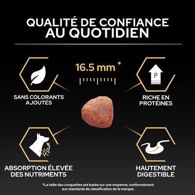 Taille des croquettes 16,5 mm, sans colorants, riche en protéines, absorption élevée des nutriments, facilement digestible. Qualité de confiance au quotidien.
