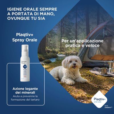 Plaqtiv+ Spray Orale, 60 ml. Azione legante dei minerali, aiuta a prevenire la formazione del tartaro. Per un'applicazione pratica e veloce.