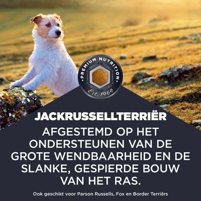 JACKRUSSELLTERRIËR. Afgestemd op de ondersteuning van het grote wendvermogen en de slanke, gespierde lichaamsbouw van het ras. Ook geschikt voor Parson Russells, Fox en Border Terriërs.