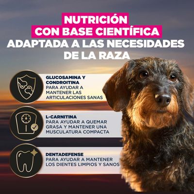 Glucosamina y condroitina para unas articulaciones sanas, L-carnitina para la quema de grasa y una musculatura compacta, Dentadefense para unos dientes limpios y sanos.