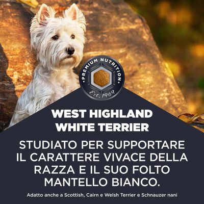 West Highland White Terrier. Premium Nutrition Est. 1969. Sviluppato per il sostegno del carattere vivace e del mantello bianco. Adatto anche per Scottish, Cairn, Welsh Terrier e Schnauzer nano.
