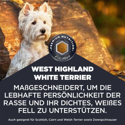 West Highland White Terrier. Maßgeschneidert, um die lebhafte Persönlichkeit der Rasse und ihr dichtes, weißes Fell zu unterstützen. Auch geeignet für Scottish, Cairn und Welsh Terrier sowie Zwergschnauzer.
