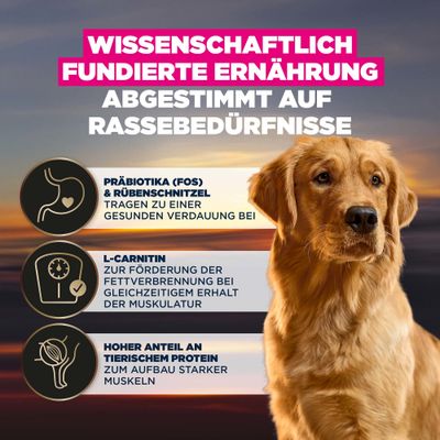 Wissenschaftlich fundierte Ernährung, abgestimmt auf Rassebedürfnisse: Präbiotika und Rübenschnitzel für Verdauung, L-Carnitin für Muskulatur, hoher tierischer Proteinanteil.