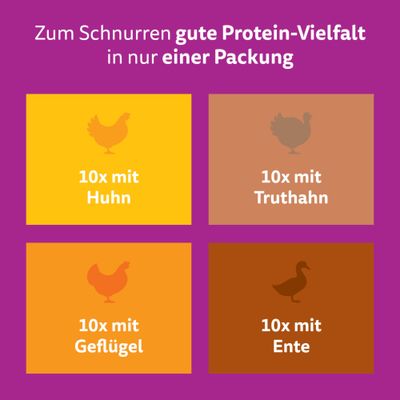 Whiskas Pure Delight 40 x 85 g - Geflügel Ragout in Gelee (4 Sorten gemischt)