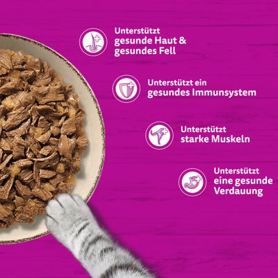 Schale mit Futter und Katzenpfote. Text: Unterstützt gesunde Haut & Fell, ein gesundes Immunsystem, starke Muskeln, eine gesunde Verdauung.