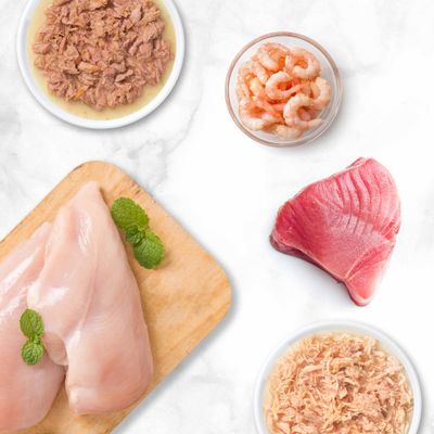 Ingrédients frais : blanc de poulet, morceaux de thon, crevettes et deux coupelles de viande préparée sur fond blanc.