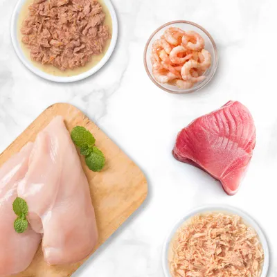 Componenti freschi: petto di pollo, pezzi di tonno, gamberetti e due ciotole con carne preparata su sfondo bianco.