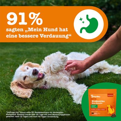 91% sagten: 'Mein Hund hat eine bessere Verdauung'. Zesty Paws Probiotika Kau-Snacks. Umfrage mit 61 Hundebesitzern, getestet über 45 Tage in zwei Phasen.