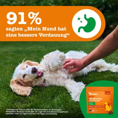 91% sagten: 'Mein Hund hat eine bessere Verdauung'. Zesty Paws Probiotika Kau-Snacks. Umfrage mit 61 Hundebesitzern, getestet über 45 Tage in zwei Phasen.