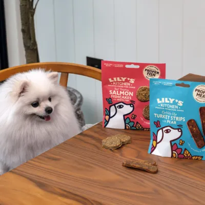 Lily's Kitchen fiskesnacks med laks Lily's Kitchen fiskesnacks med laks