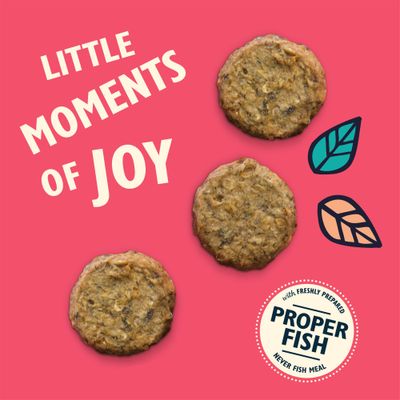 Lily's Kitchen fiskesnacks med laks