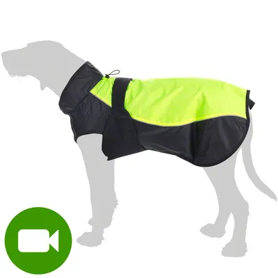 Przycisk odtwarzania filmu produktu. Kliknij tutaj, aby obejrzeć wideo prezentujące kurtkę dla psa w kolorze czarnym i żółtym na sylwetce psa.