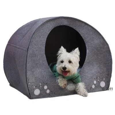 Szare legowisko z filcu w kształcie kopuły, otwór wejściowy z przodu, ozdobne wycięcia po bokach, widoczne łapy małego psa wystającego z wnętrza.