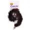 Karlie Kitty Wonderball 1 st