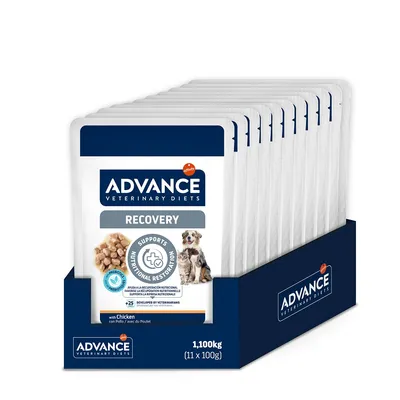 Advance Veterinary Diets Recovery mit Huhn, unterstützt die Ernährungswiederherstellung, entwickelt von Tierärzten, Packung mit 11 x 100g. Advance Veterinary Diets Recovery mit Huhn, unterstützt die Ernährungswiederherstellung, entwickelt von Tierärzten, Packung mit 11 x 100g.