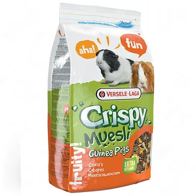 Versele-Laga Crispy Muesli Guinea Pigs, fruity! Extra vitamine C. Afbeelding van cavia's op de verpakking. Product voor cavia's zichtbaar in transparant venster.