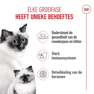 Royal Canin Mother & Babycat