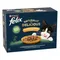 Felix Naturally Delicious 10 x 80 г селекция с птиче месо в желе