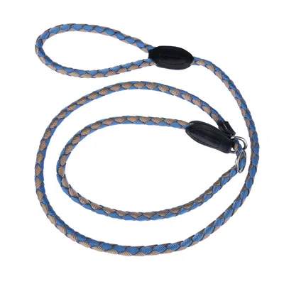 Braided dog lead in blue and brown with black leather accents and metal rings.