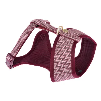 Harnais pour chien en tissu bordeaux à motif chevrons, boucle de fermeture plastique et anneau métallique doré visibles.