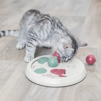 Chat gris jouant avec un plateau interactif blanc marqué 'Cat Activity', comprenant des éléments mobiles verts et roses en plastique sur un sol en bois clair.