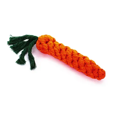 TIAKI Hundespielzeug Karotte - Ø 3,5 x L 22 cm