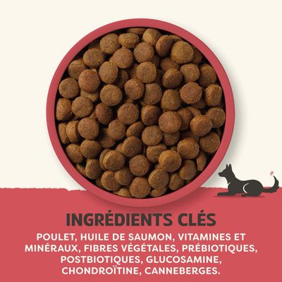 Ingrédients principaux : poulet, huile de saumon, vitamines, minéraux, fibres végétales, prébiotiques, postbiotiques, glucosamine, chondroïtine, canneberges.