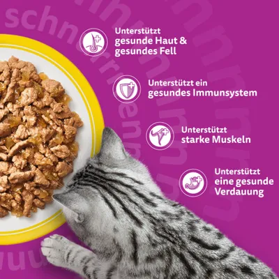 Megapack Whiskas 1+ Adult Frischebeutel 24 x 85 g - Geflügelauswahl in Sauce
