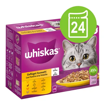 Whiskas selecție de carne de pasăre în aspic, 24 de plicuri cu pui, rață, carne de pasăre și curcan. Ingrediente 100% echilibrate. Ambalajul prezintă o pisică și un bol galben.
