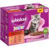 Megapack Whiskas Junior Frischebeutel 24 x 85 g Klassische Auswahl in Sauce