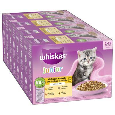 Whiskas Junior vrećice 12 x 85 g Izbor peradi u želeu