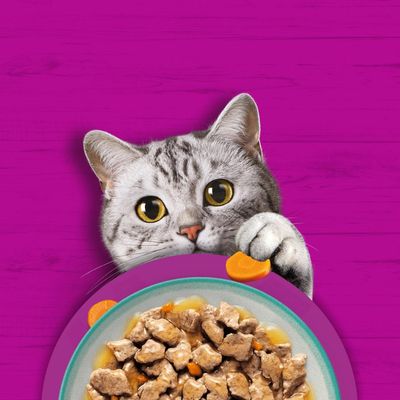 Whiskas Tasty Mix 48 x 85 g