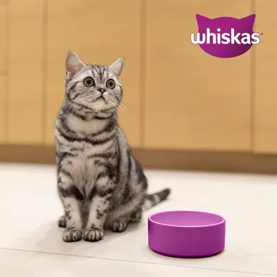 Whiskas 1+ с агнешко