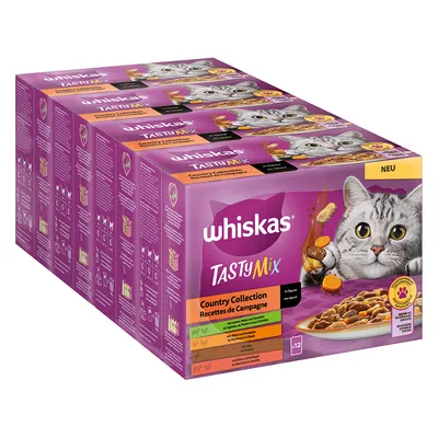 Whiskas TastyMix Country Collection Recettes de Campagne, en sauce, lot de 6 boîtes de 12 sachets. Image d’un chat gris et d’une assiette de nourriture pour chat sur l’emballage.