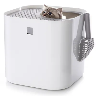 Caixa de areia branca para gatos com pá lateral. Gato a olhar pela abertura superior.