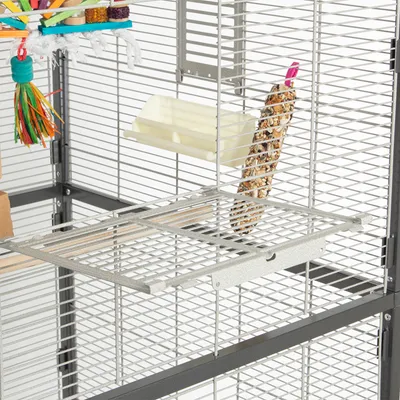 Vogelkäfig mit Metallgitter, Sitzstange, Futterhalter und buntem Spielzeug. Geeignet für die Haltung von Vögeln.