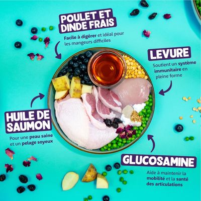 Poulet et dinde frais, huile de saumon, levure, glucosamine. Texte : facile à digérer, peau saine, système immunitaire, mobilité et santé des articulations.