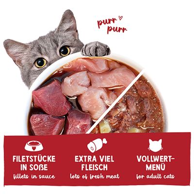 Filetstücke in Soße, extra viel Fleisch, Vollwert-Menü für ausgewachsene Katzen. Abbildung von Fleischstücken und Nassfutter.