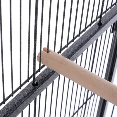 Perchoir en bois inséré dans une cage à barreaux métalliques noirs, fixation visible sur la structure de la cage.