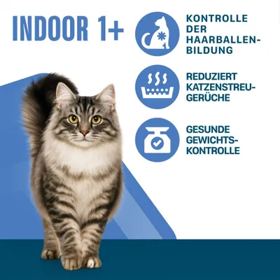 INDOOR 1+, szőrlabda-képződés ellenőrzése, csökkenti a macskaalom szagát, egészséges testsúlykontroll.