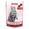 Beaphar Bits saumon, pâte au malt pour chat 150 g