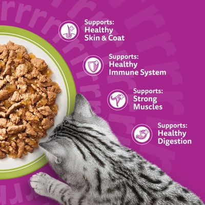 Whiskas 1+ Mixed Menu in Jelly