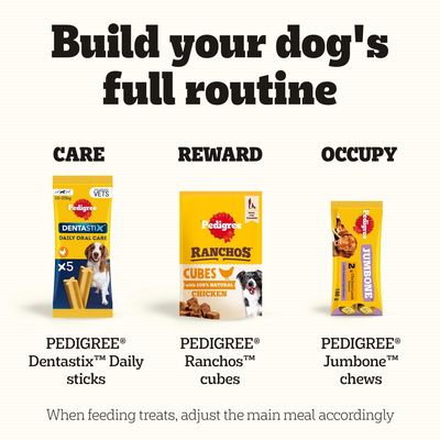 Pedigree Dentastix Daily sticks, Pedigree Ranchos Cubes with chicken and Pedigree Jumbone Chews as care, reward and activity snacks for dogs.
