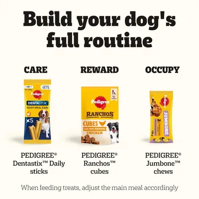Pedigree Dentastix Daily sticks, Pedigree Ranchos Cubes with chicken and Pedigree Jumbone Chews as care, reward and activity snacks for dogs. Pedigree Dentastix Daily sticks, Pedigree Ranchos Cubes with chicken and Pedigree Jumbone Chews as care, reward and activity snacks for dogs.
